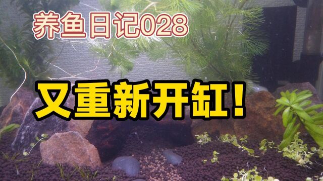 养鱼日记028:折腾吧 又重新开缸了 希望这次不要在死鱼了