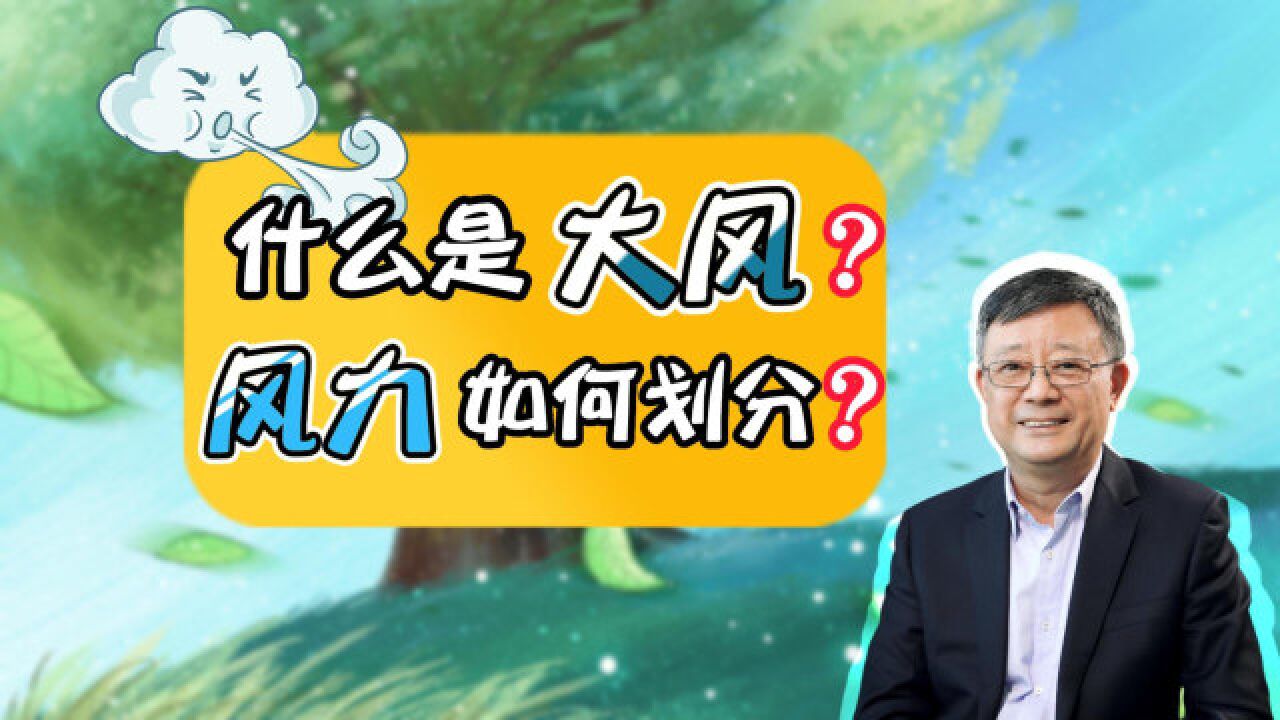 大风天气后,赶海也能有惊喜?这大风到底有多大?风力等级如何划分?