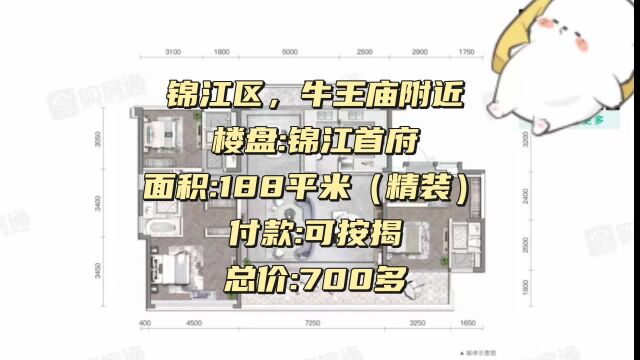 攀成钢锦江首府住宅188㎡可按揭精装