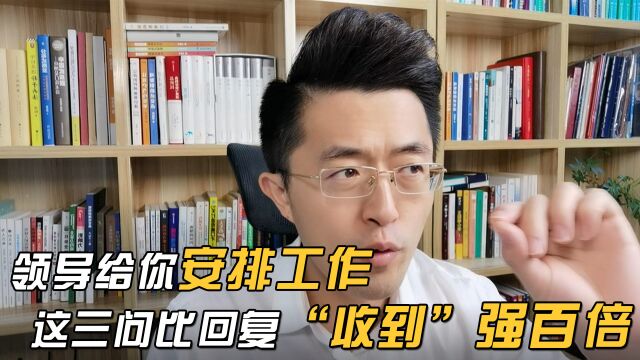 领导给你安排工作,千万别只回一个收到