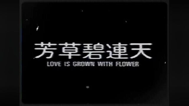 《芳草碧连天》是1986年由齐秦、王祖贤主演的电影.#怀旧经典影视 #前奏一响拾起多少人的回忆 #一代人的经典回忆