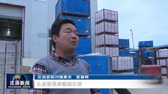 【走进乡村看丰收】庄浪:苹果迎丰收 果农销售忙