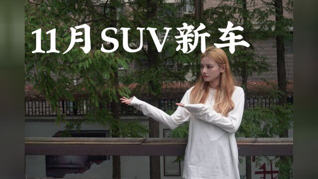 11月SUV新车新车