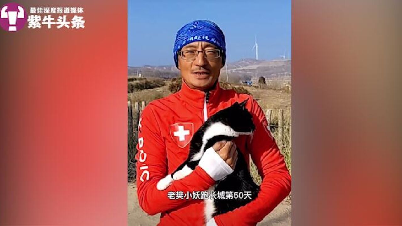 一个男人带着他的猫一起跑长城