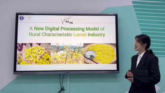 A Project Video of A new digital processing model of rural Lamei industry