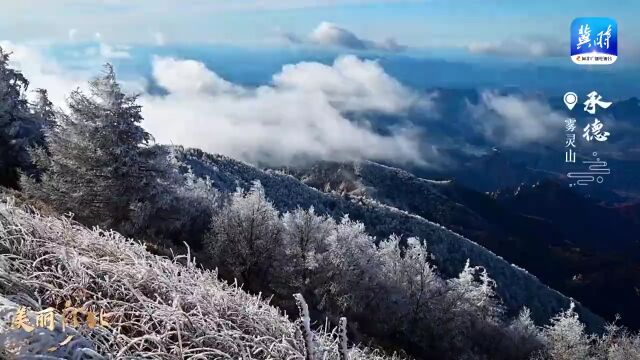 美丽河北 | 一秒入画!银装素裹的雾灵山如梦似幻