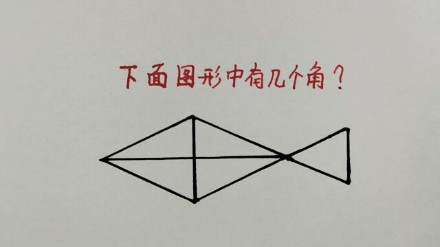 图中有几个角?爸爸说23个,妈妈认为22个,老师:都不对