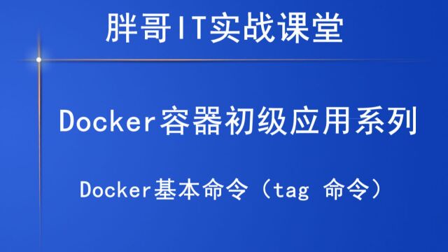 Docker基本命令(tag 命令)下1