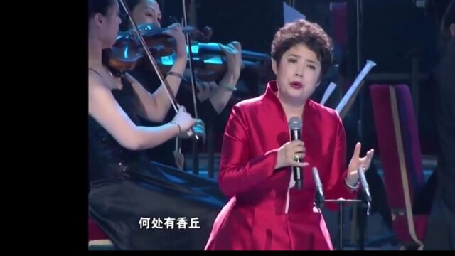 红楼梦三十周年音乐会 陈力 《葬花吟》