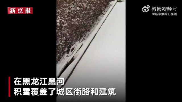 下雪了!多地下雪了!