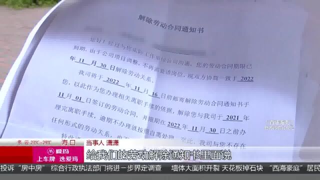 孕期员工被解除劳动合同 公司:辞退员工违法愿意赔偿