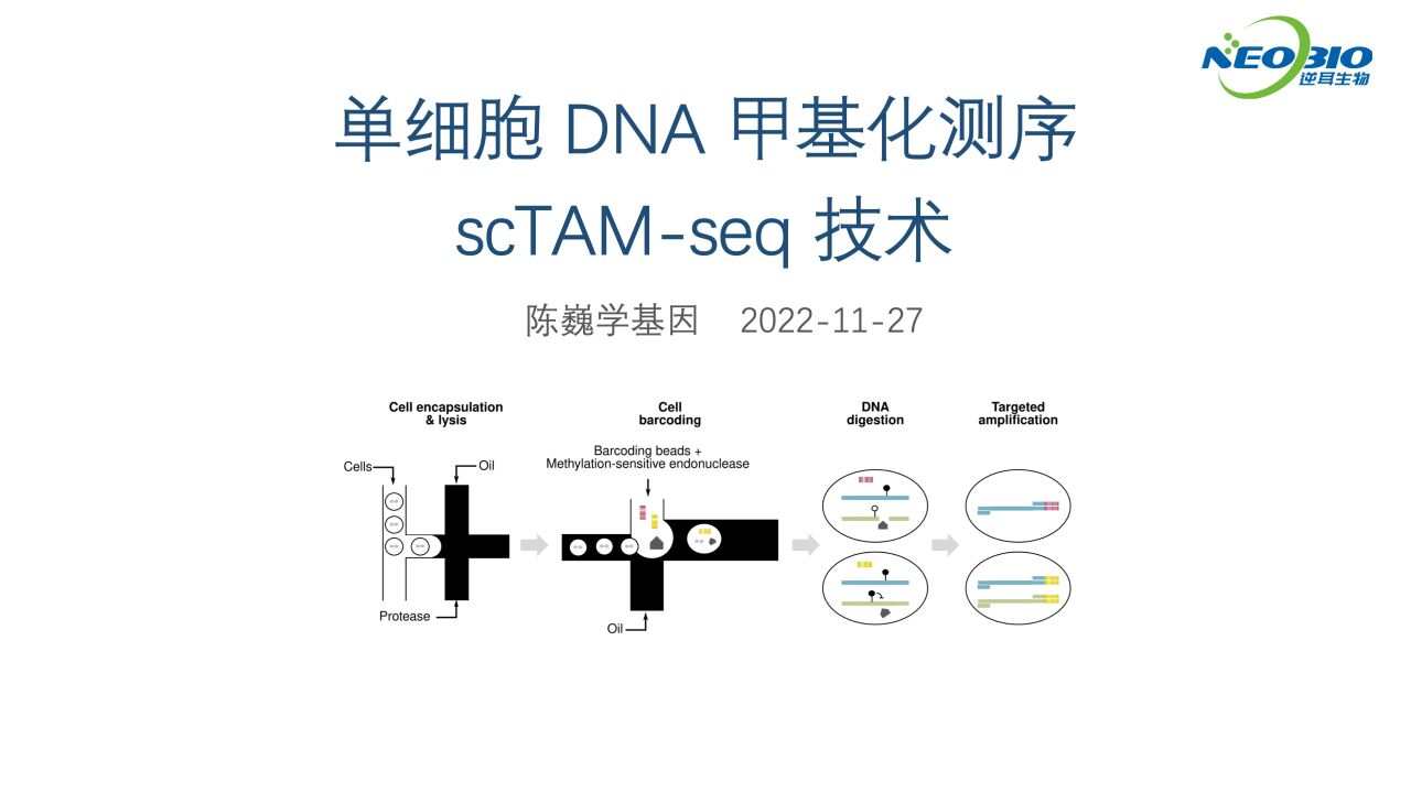 【陈巍学基因】单细胞DNA甲基化测序