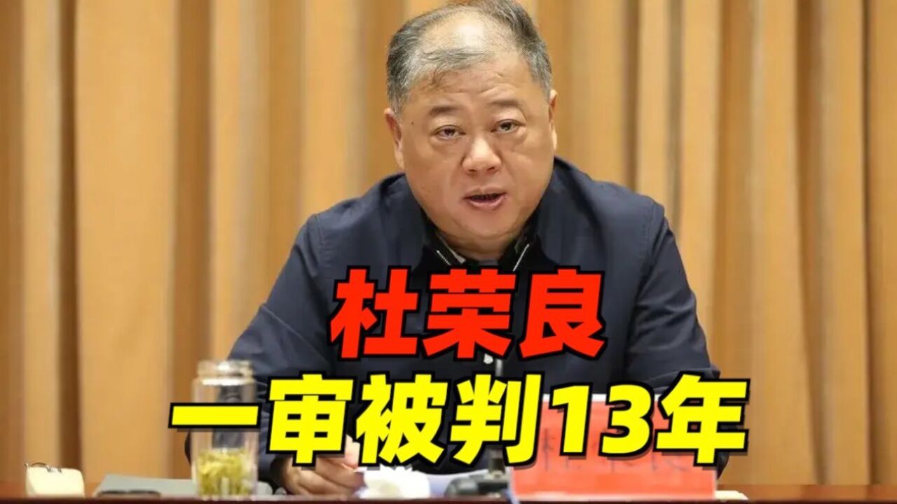 常州市政府原副市长、市公安局原局长杜荣良,一审被判13年