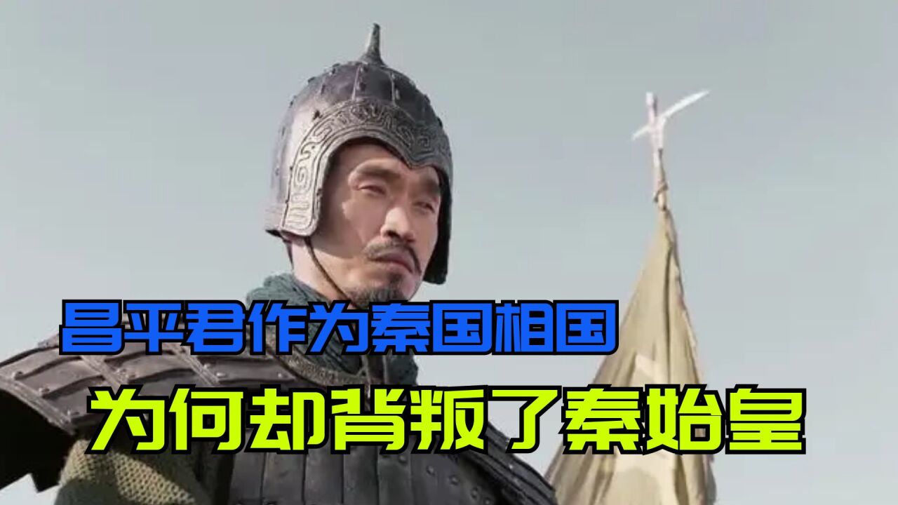 昌平君是个怎样的人?作为秦国的相国,他为何叛秦成了末代楚王?