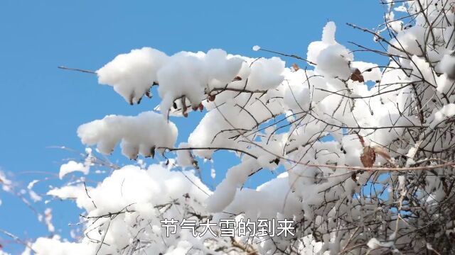 中华二十四节气 | 大雪