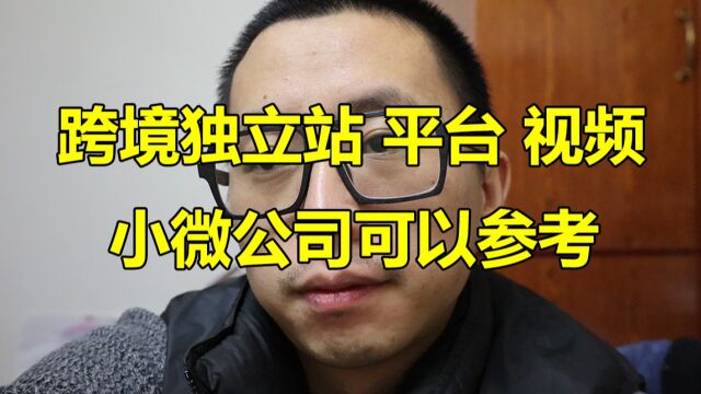 关于独立站,小公司CEO的看法