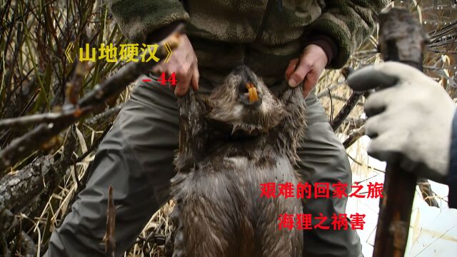 山地硬汉44:查理获得大丰收,捕猎海狸「纪录片」