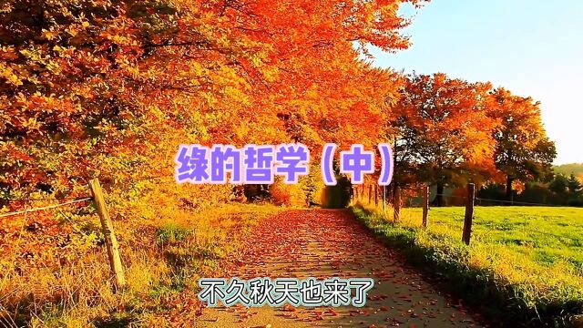 第5集:绿的哲学中