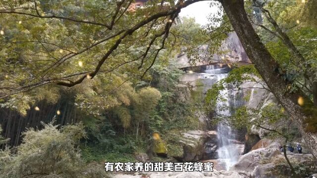 天台山的风景