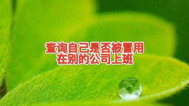 如何查询自己信息是否被乱用在别的公司上班,教你方法,保护隐私