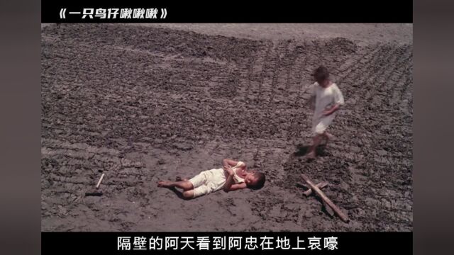 不敢看第二遍的电影 被称为台湾版“活着”