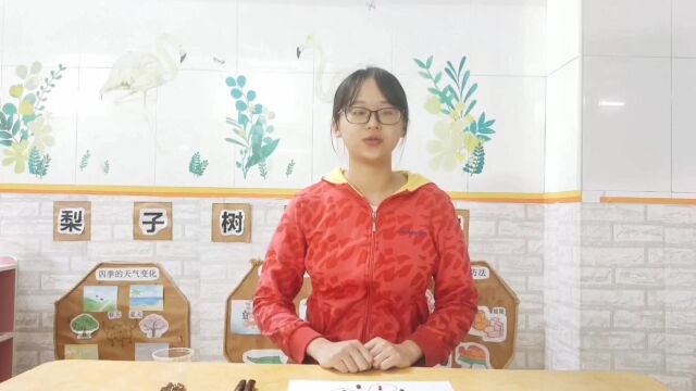 中班益智游戏《躲豆豆》