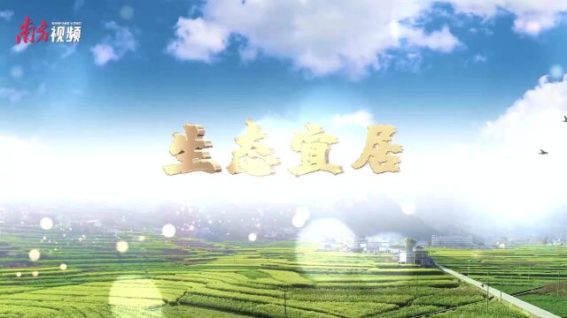 沙河国考断面水质连跳三级,博罗园洲重现河畅水清岸绿景美