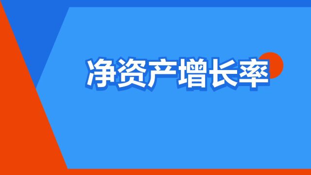 “净资产增长率”是什么意思?