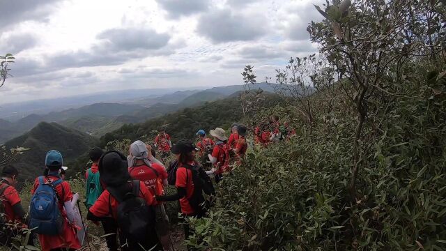 上海周边最美的山户外运动旅游健身 大岗脑原野线续集7 上海快乐徒步爬山户外