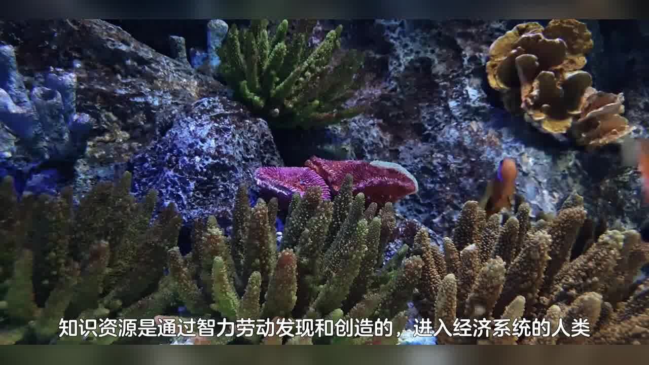 59企业篇商品价值传统生产要素知识资源【张延年博主】