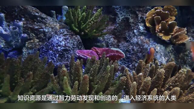 59企业篇商品价值传统生产要素知识资源【张延年博主】