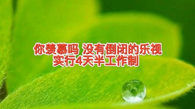 你羡慕吗?乐视实行4天半工作制,离开贾跃亭的乐视没有关门倒闭