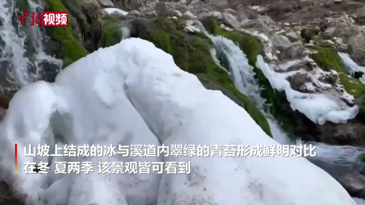 青海杂多现冬日冰雪与夏日翠绿同框奇景