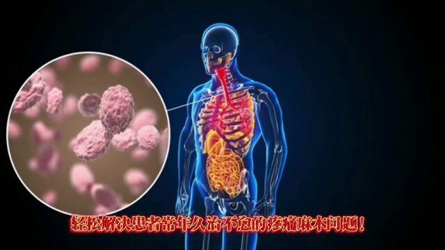 2023年医院带教每月.08邯郸袁明省国家专利中华小弯针专治颈腰椎、膝关节、股骨头坏死、强脊炎、三叉神经等疼痛及疑难杂症精讲班