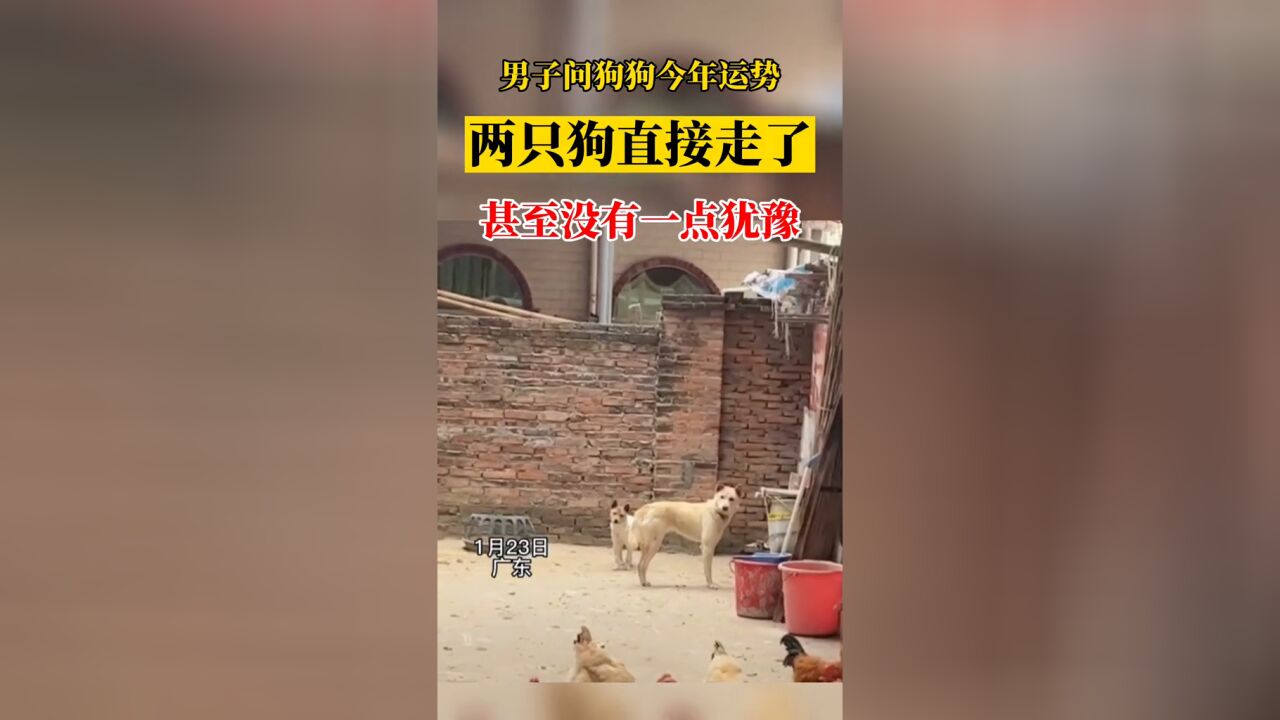 甚至没有一点犹豫