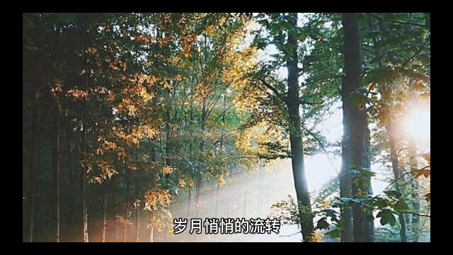 岁月的流转