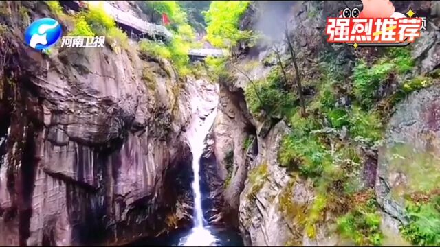 栾川.养子沟 | 栾川特色乡村旅游 | 洛阳特色文旅小镇