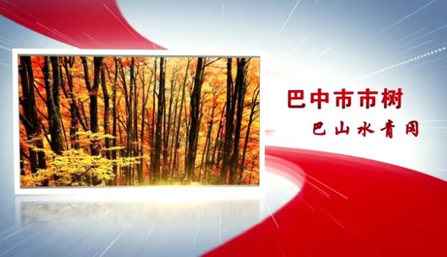 欢度中国年 共赴新征程⑤ | 大美巴中新气象