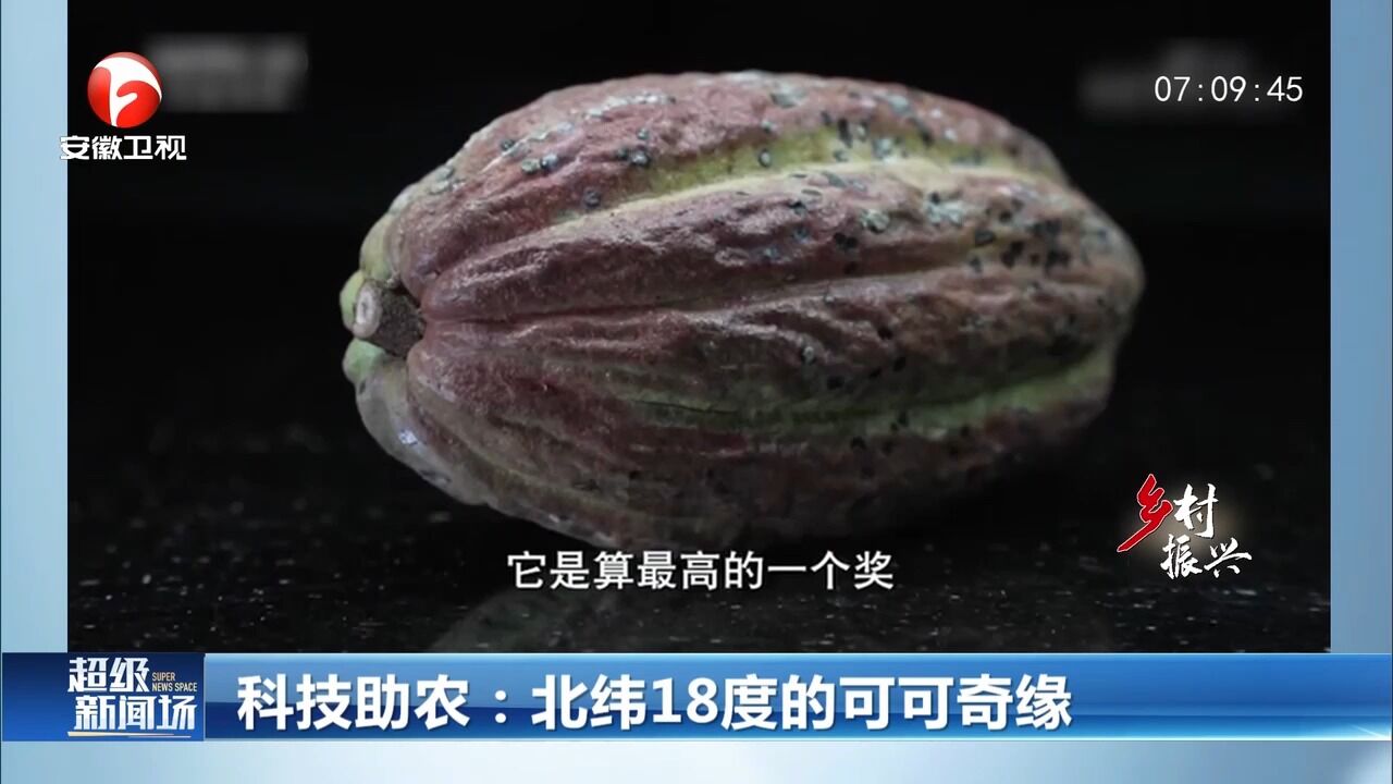 科技助农:北纬18度的可可奇缘