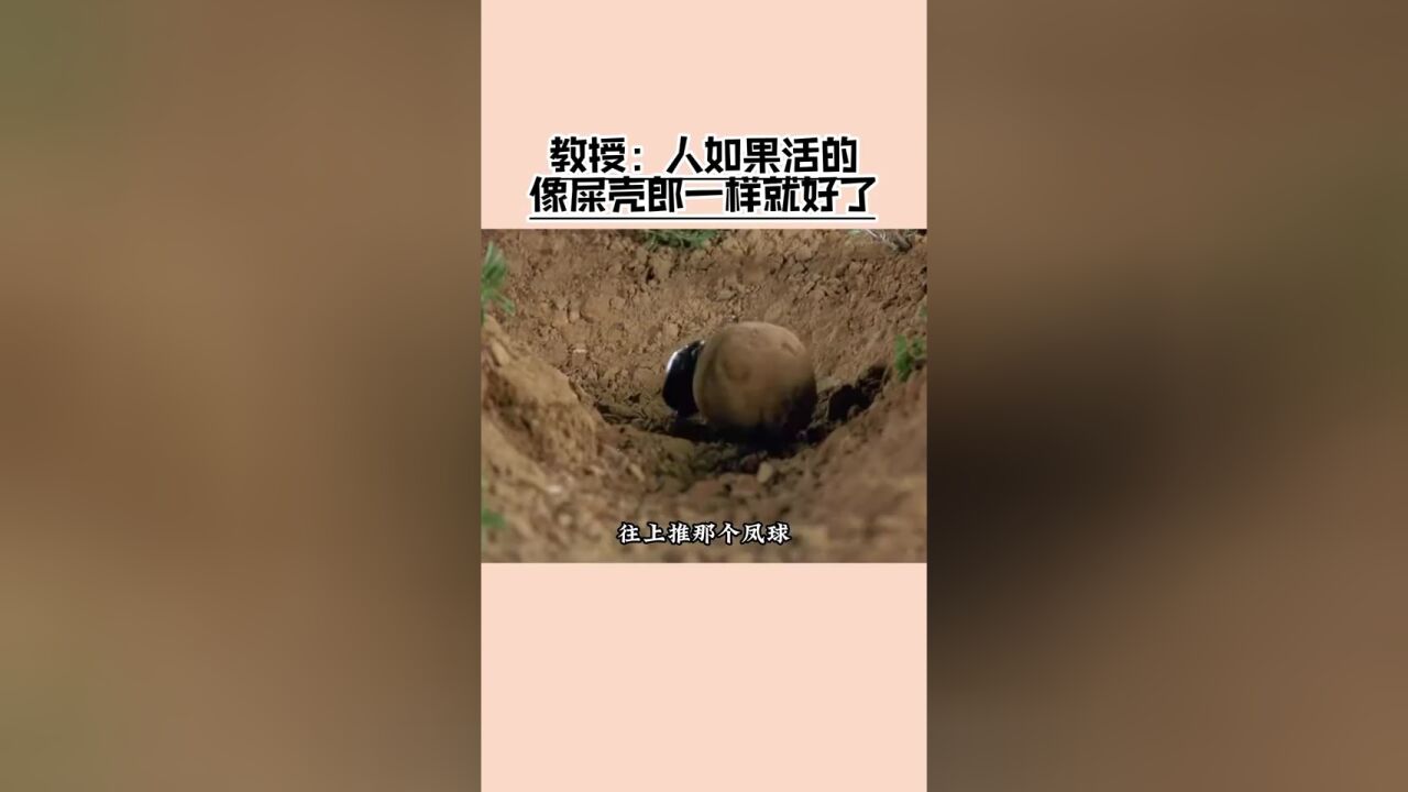 复旦教授王德峰:人有无限心,我们该如何在这个浮躁的社会安顿?