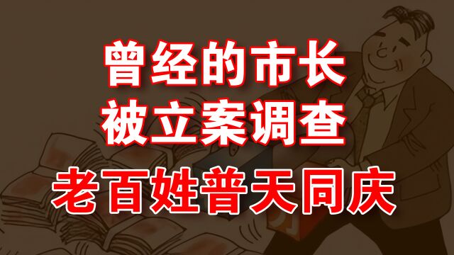 曾经的市长被立案调查老百姓普天同庆