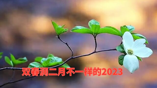 双春润二月不一样的2023