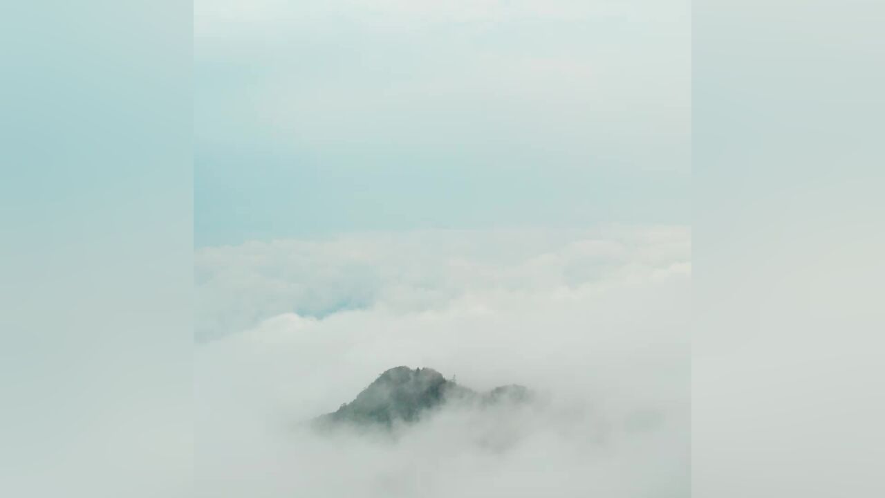 助镇帮扶队千米高山上修了条“致富路”,河源雨季孕育致富茶