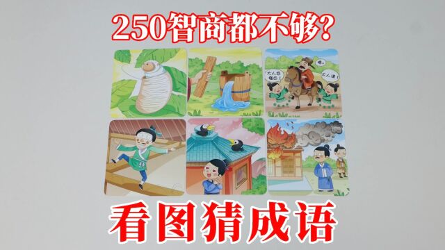 看图猜成语:感觉250的智商都不够用!