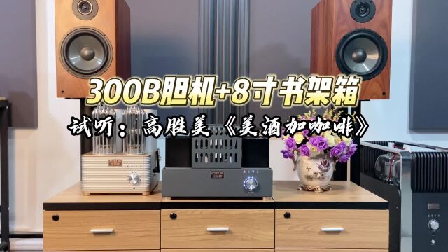 300B试音经典歌曲高胜美版《美酒加咖啡》,歌声甜美,令人陶醉!