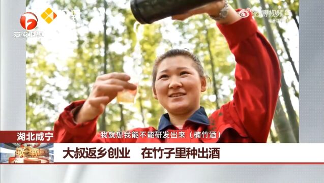 湖北咸宁:大叔返乡创业,在竹子里种出酒