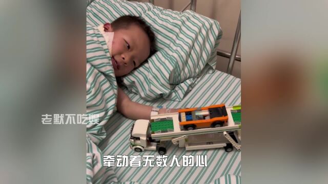 鞭炮炸伤男孩被截肢,豆豆妈筹款千万遭网暴,官方做法一针见血