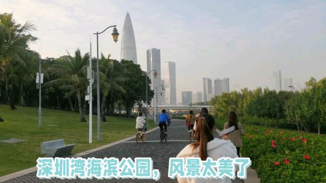 深圳湾海滨公园,是深圳最美的海景观光公园,对面就是香港