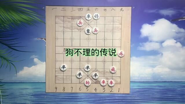 狗不理的传说#中国象棋 #象棋 #象棋故事