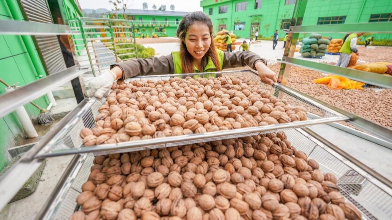 陇南怎么这么多宝藏特产!收好这份舌尖上的“甘味”清单